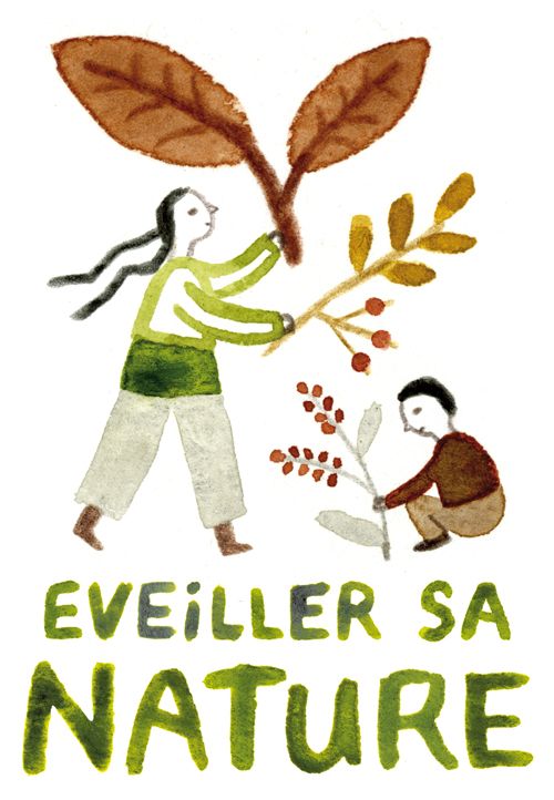 Les activités Nature proposés par Anne-Catherine - Herboriste, botaniste de terrain 