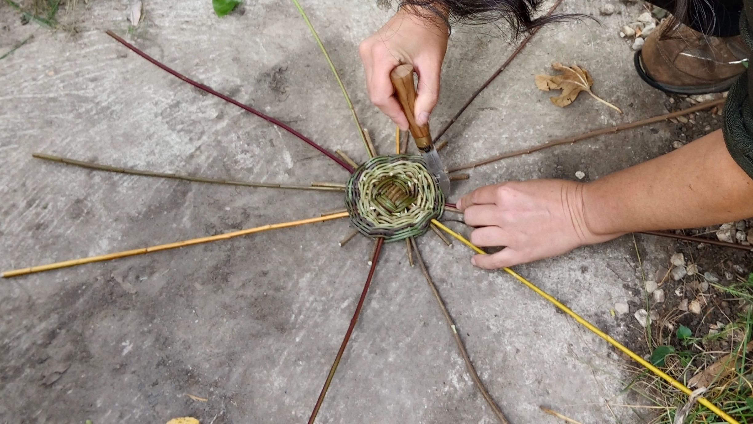 Carte cadeau - Atelier de vannerie Sauvage