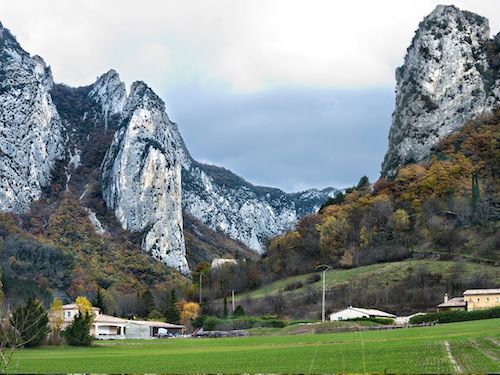 Découverte de la biobiversité en forêt de Saoû dans la Drôme