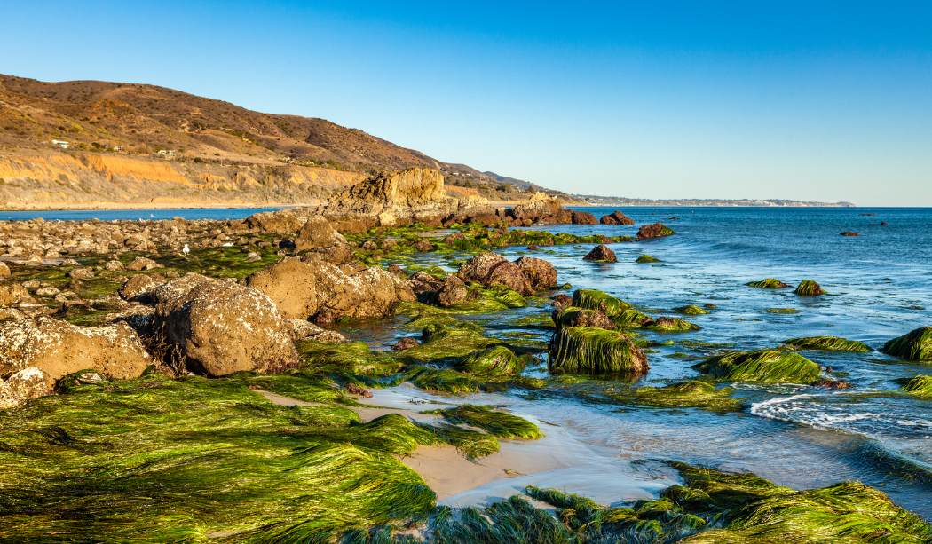 Découverte du littoral et de l’estran