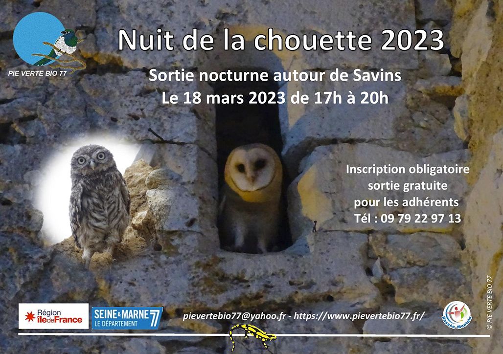Nuit-de-la-Chouette-2023.jpg