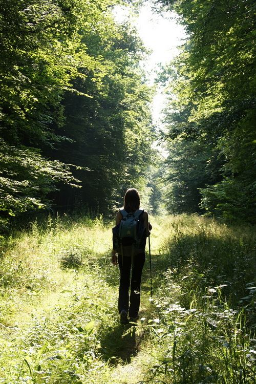 Histoire, légendes & forêt