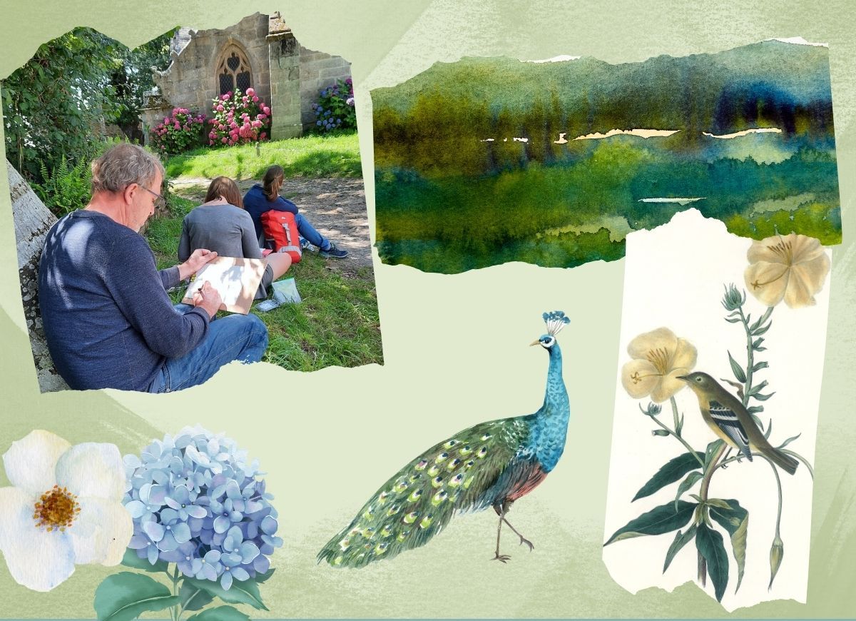 Dessin, peinture naturaliste & botanique