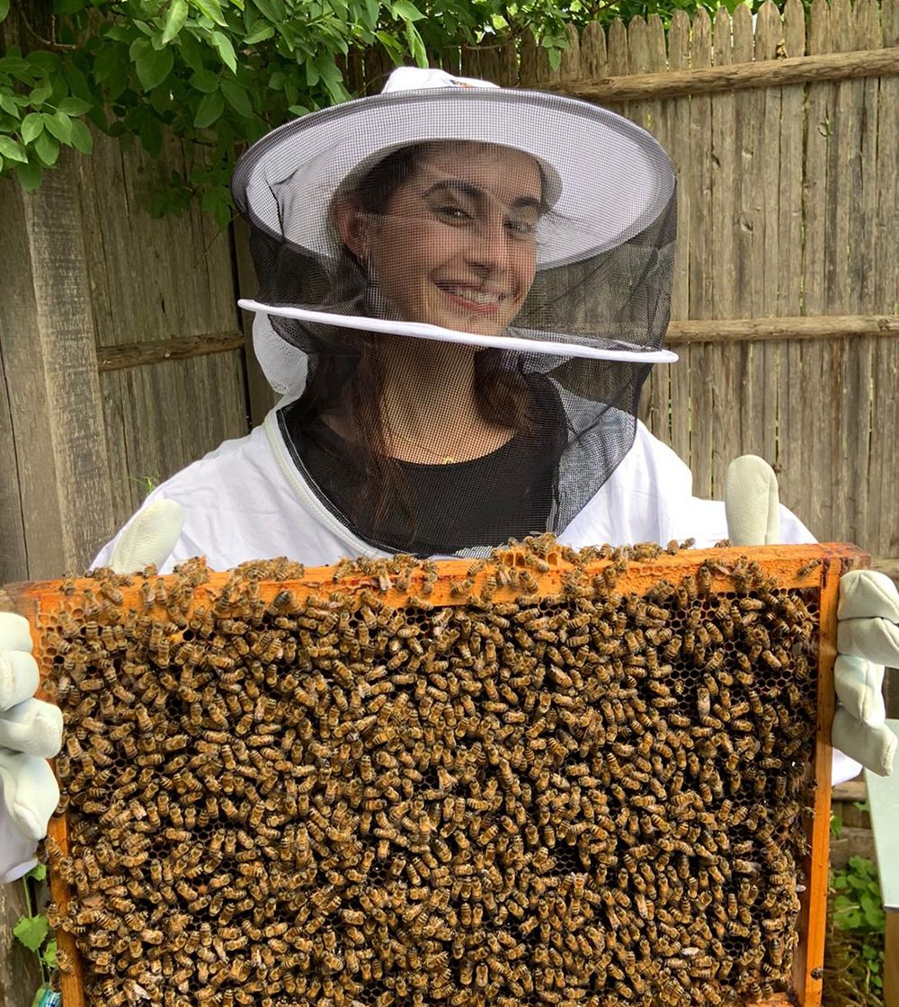 Découvrez le monde fascinant de l’apiculture et des abeilles 🐝