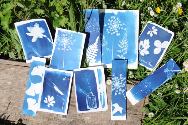 Atelier cyanotypes, où comment éviter le blues