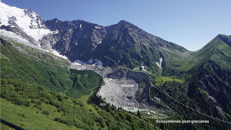 biodiversité activité nature econature eco-nature glaciers réchauffement climatique zone post-glaciaire