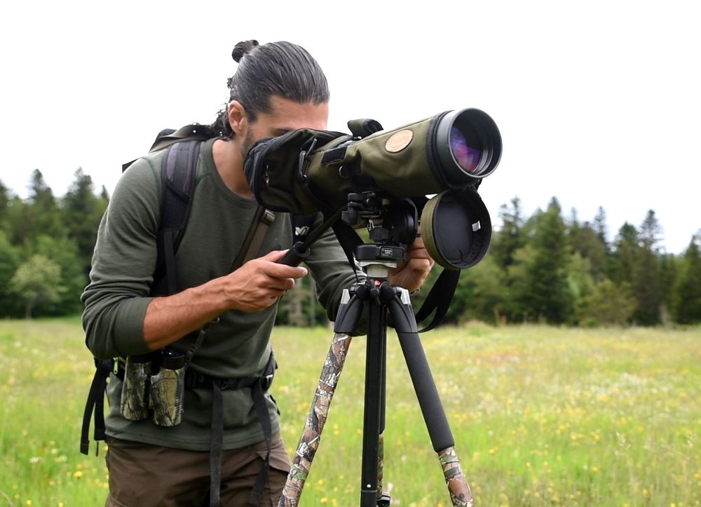 Appeau à Cerf En Laiton - Son Réaliste De Brame Pour Chasse, Randonnée, Observation Animaux