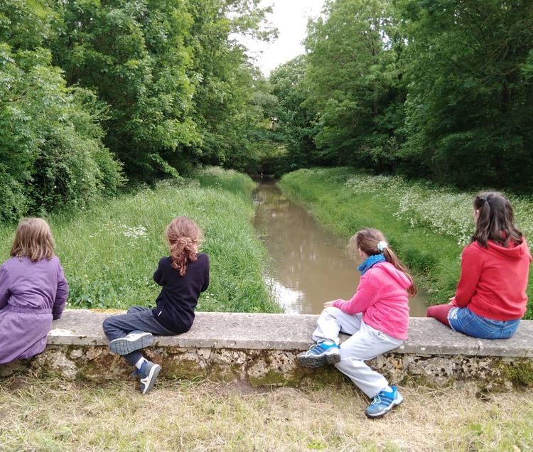 Carte cadeau - Les P’tits Curieux - A la découverte des oiseaux et habitants des mares