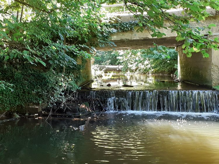 Les pieds dans l'eau avec "Les Chemins de l'Ecureuil!"