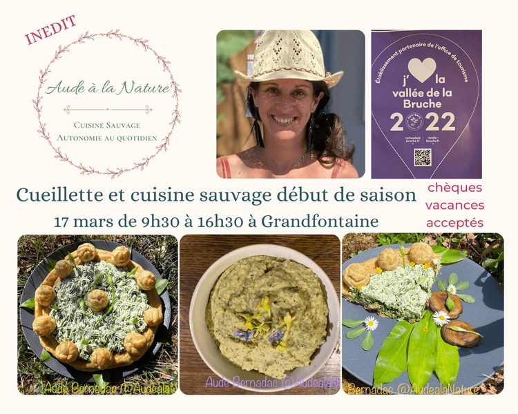 Atelier inédit cueillette et cuisine de plantes sauvages spécial "Saint Honoré Sauvage" - Aude à la Nature