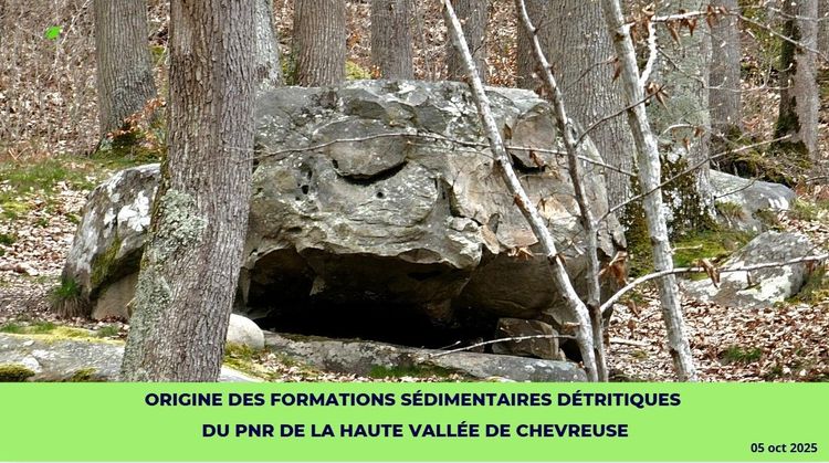 Sortie entre nature et géologie locale en Vallée de Chevreuse • Michel Monnier et Solen Boivin