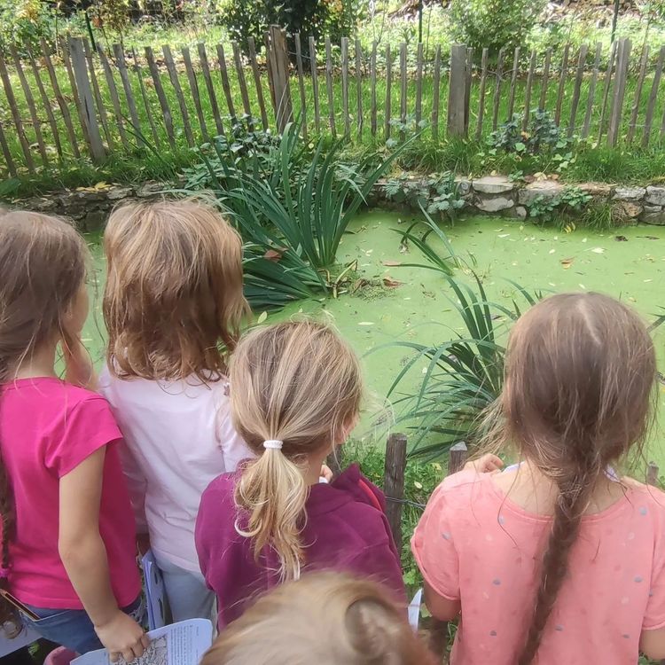 Les P’tits Curieux à Raizeux