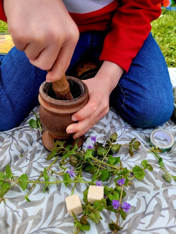 Stage Nature & Montessori, Paris 14e - du 29/6 au 3/7 puis 6 au 10/7/26