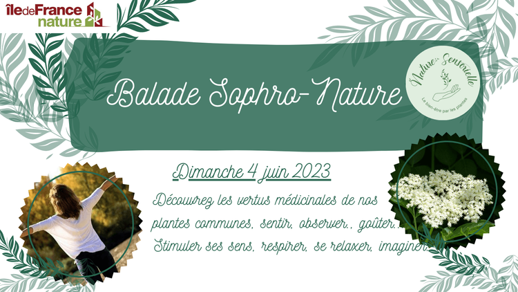 Balade Sophro-Nature