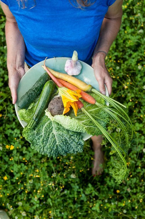Les activités Nature proposés par Isabelle - Experte en Fermentation