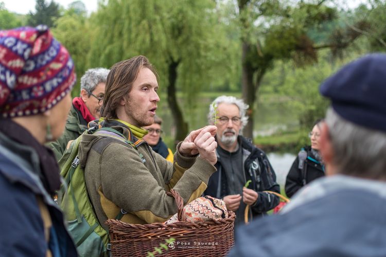 Découverte des plantes sauvages au parc de la tête d'Or