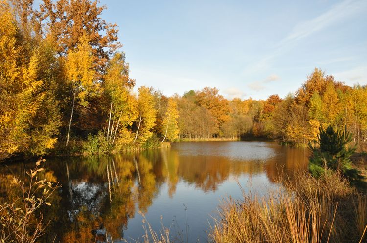 Les activités Nature proposés par Aymeric - Guide nature
