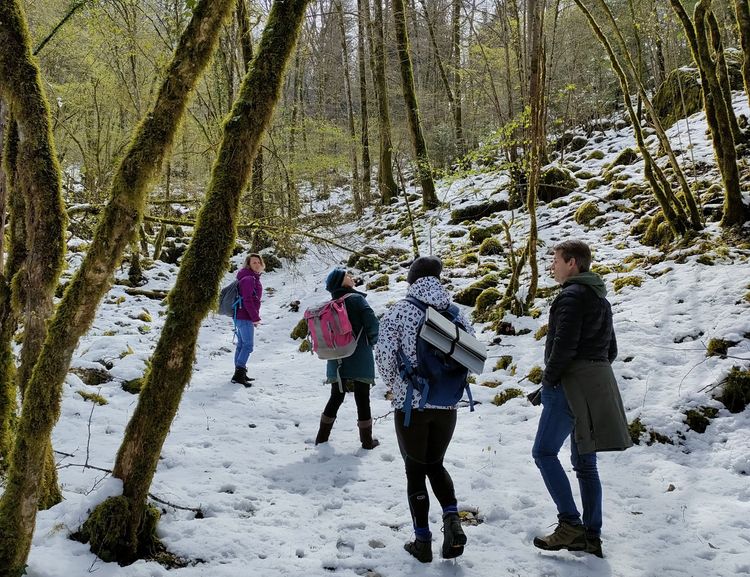 Balade ressourçante "La Vie secrète de la forêt"