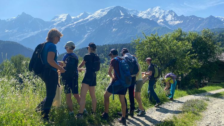 Les activités Nature proposés par Sébastien - Accompagnateur en montagne et ethnobotaniste