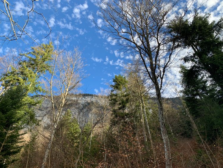 Balade ressourçante "De l'Eau, des cimes"