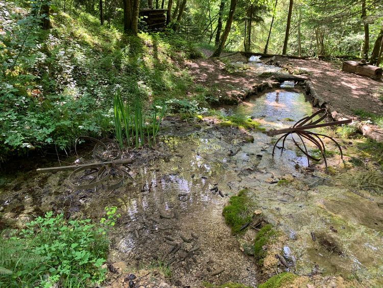 Balade ressourçante "Sur la Voie des libellules"