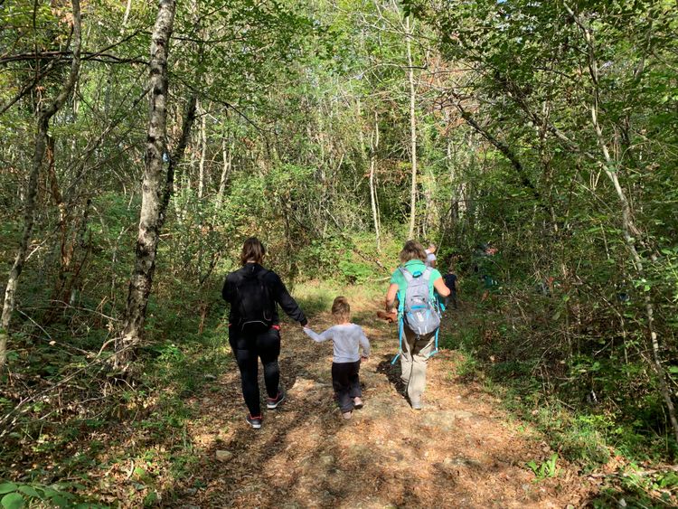 Balade ressourçante "La forêt des Follatons"