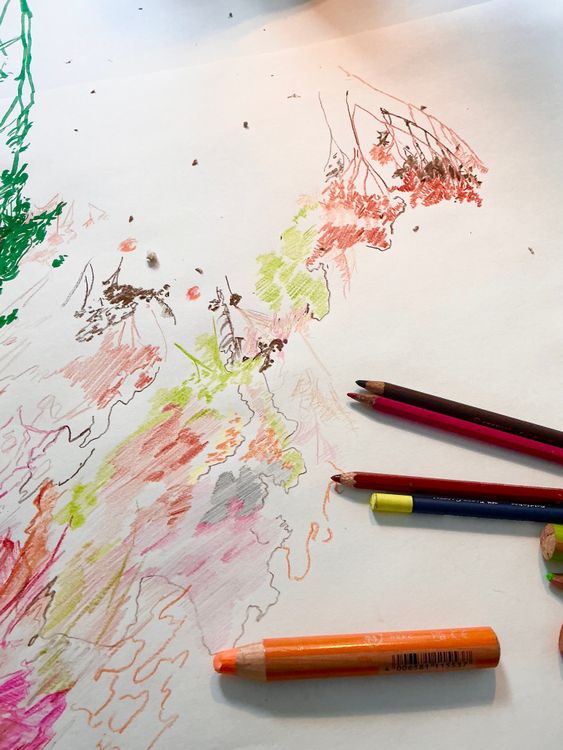 Atelier de dessin botanique pour enfants