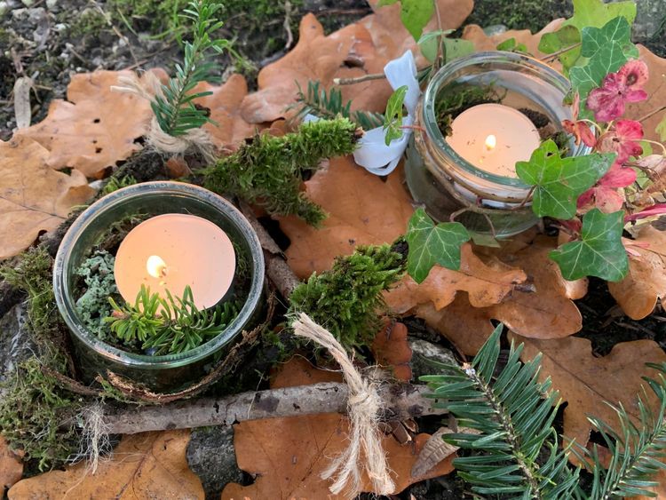 Ronde des arbres "A la rencontre du Sapin"