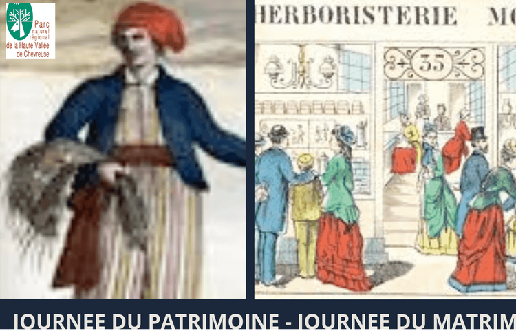 Promenade à la rencontre des botanistes et herboristes femmes