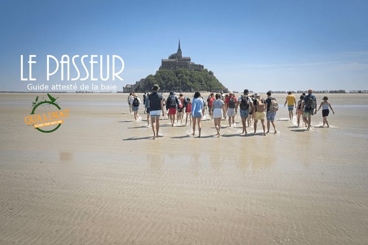 Les activités Nature proposés par Kévin - Guide attesté de la baie du Mont-saint-Michel