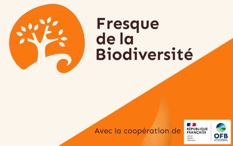 Fresque de la Biodiversité en ligne