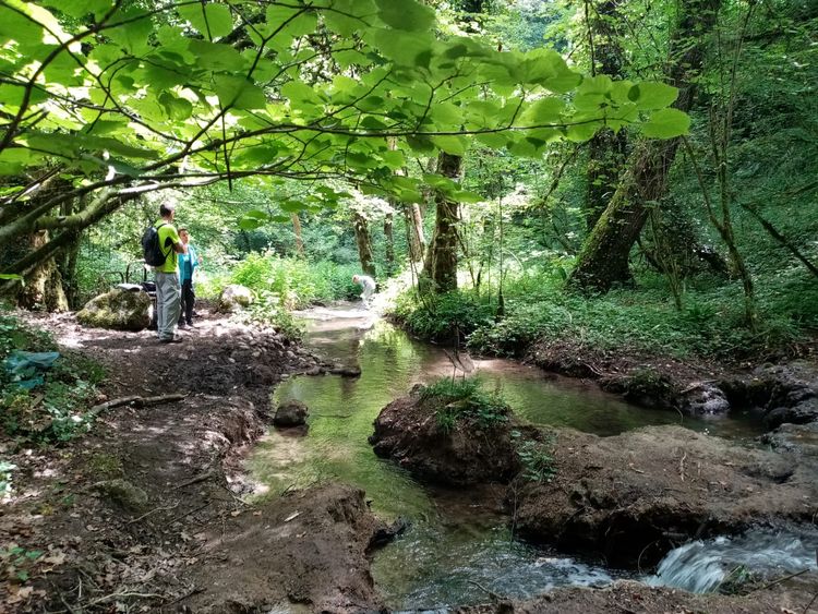 Atelier en nature "A la recherche du blob"