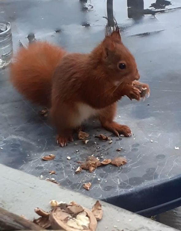 Les activités Nature proposés par Nathalia - Animatrice sensorielle Nature