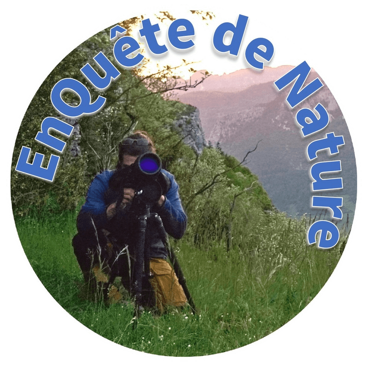 Les activités Nature proposés par Romain - Guide naturaliste