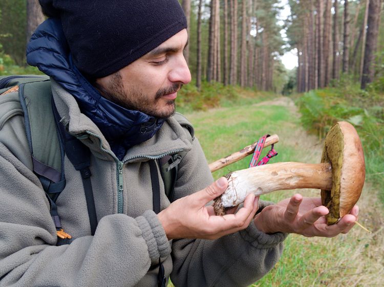 Les activités Nature proposés par Nicolas - Guide nature