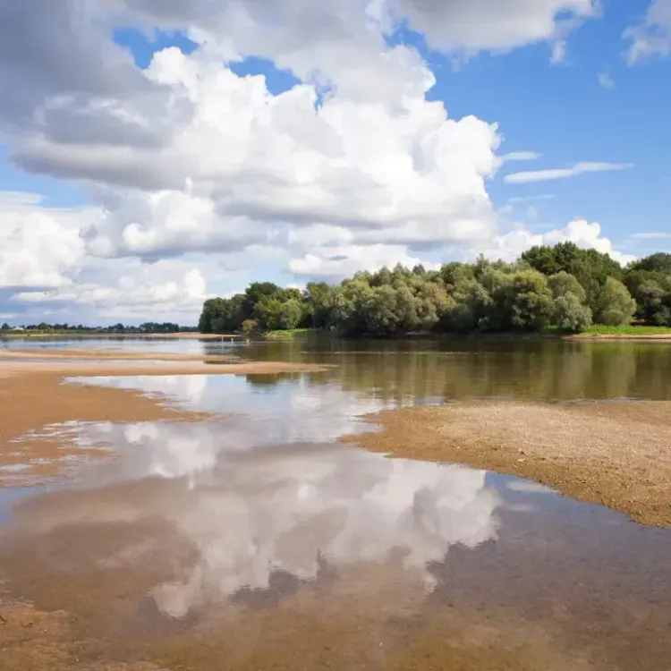 Les activités Nature proposés par Maison de la Loire d'Indre et Loire - Education à l'Environnement