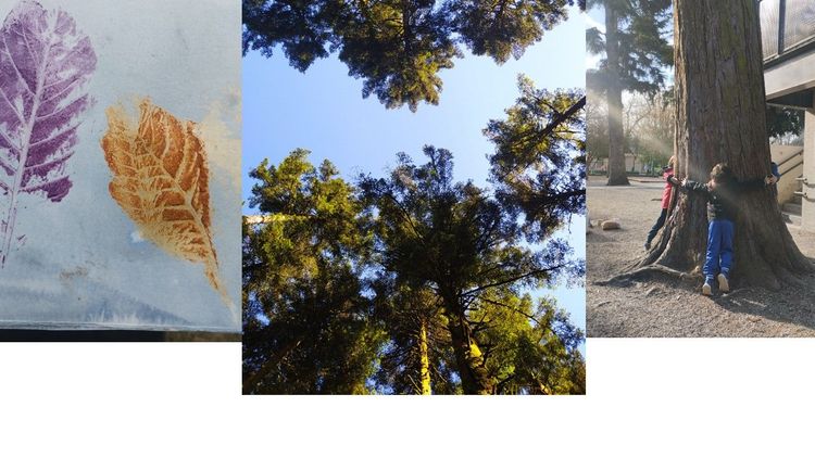 Les activités Nature proposés par Nadia - Nadia