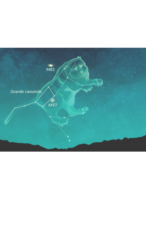 Les activités Nature proposés par Olivier - Animateur