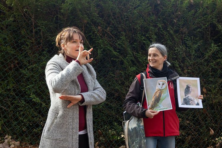 Randonnée inclusive : Entre forêt et musée Jean Monnet