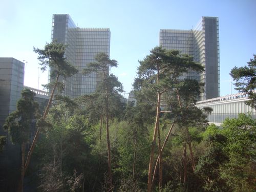 Le 13e arrondissement écolo