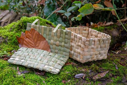 Vivre sa Nature - Vannerie en feuilles de massette