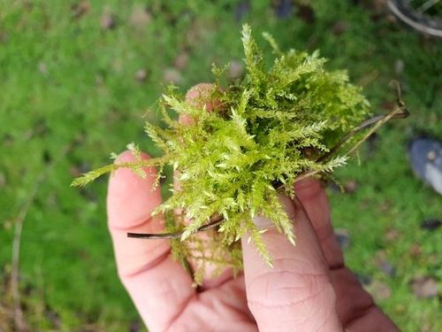 Venez découvrir la nature en hiver