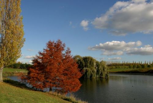 Découverte des oiseaux au Parc du Sausset à Villepinte