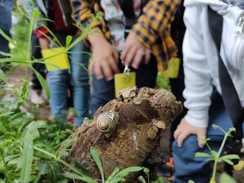 Pister l’humain en forêt : Comment profiter de la nature en la préservant