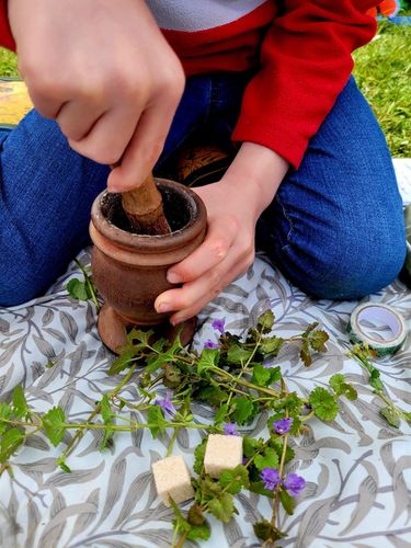 Stage Nature & Montessori, Paris 14e - du 29/6 au 3/7 puis 6 au 10/7/26