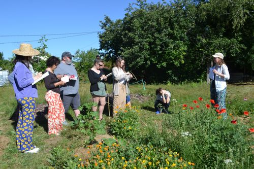 Balade découverte des plantes sauvages