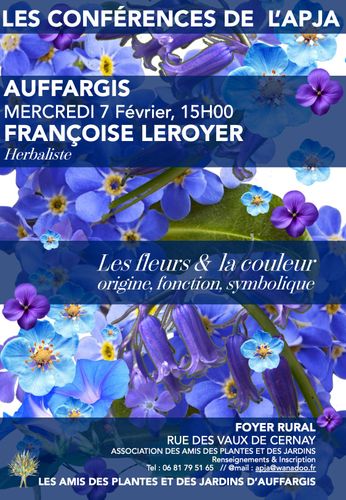 LES FLEURS ET LA COULEUR bleu
