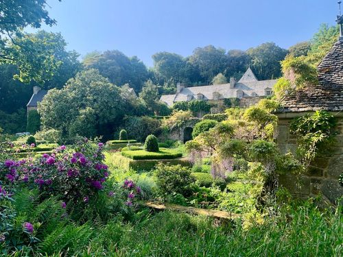 Carte cadeau - Découverte de jardins & arbres remarquables