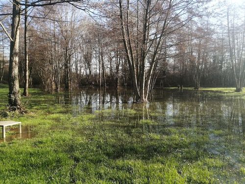 Les plantes, les pieds dans l'eau !