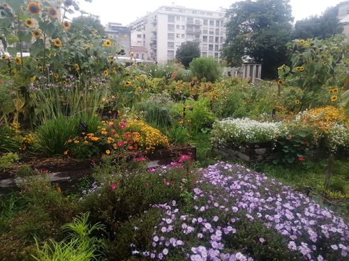 Jardin 20e